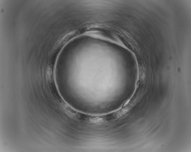 X0000068270669200604211111