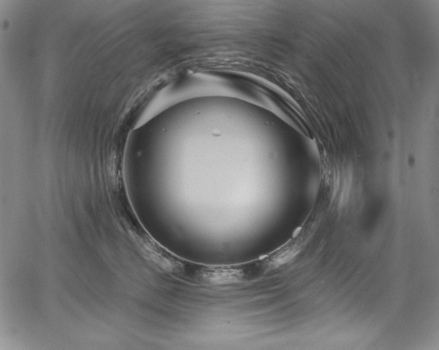 X0000068270670200604211112