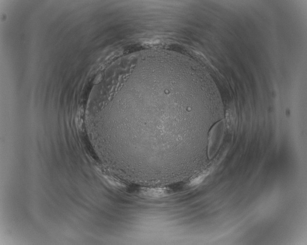 X0000068270671200604211112