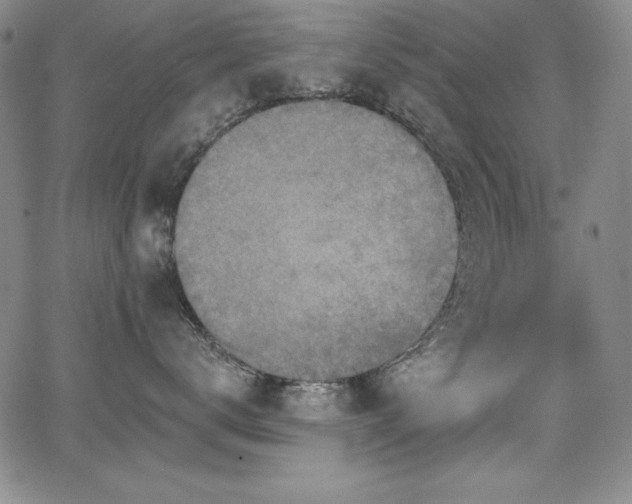 X0000068270672200604211112