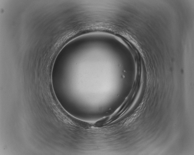 X0000068270673200604211111