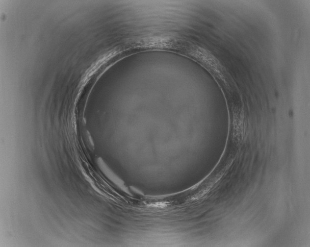 X0000068270674200604211111