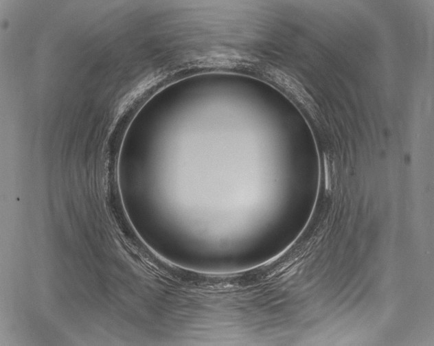 X0000068270675200604211111