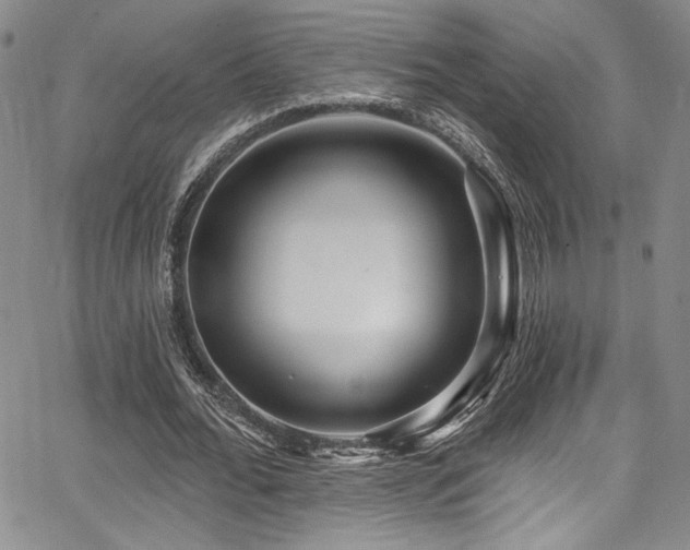 X0000068270676200604211111