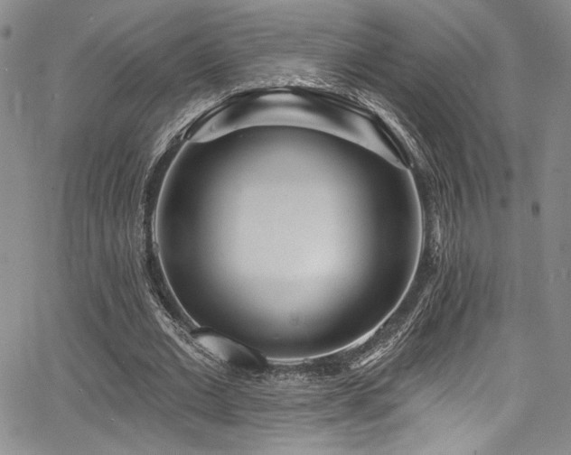 X0000068270677200604211111