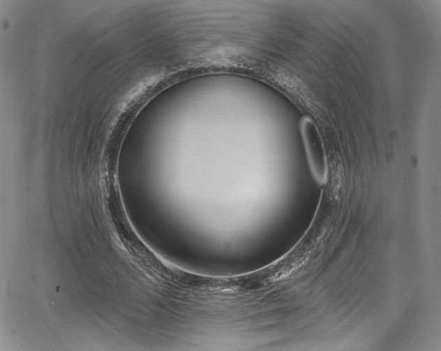 X0000068270680200604211111