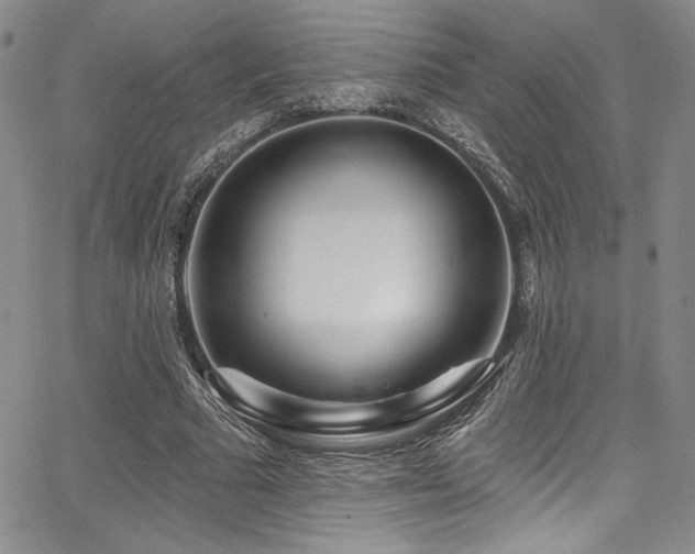 X0000068270681200604211111