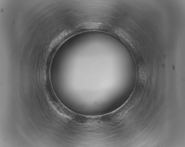 X0000068270682200604211111