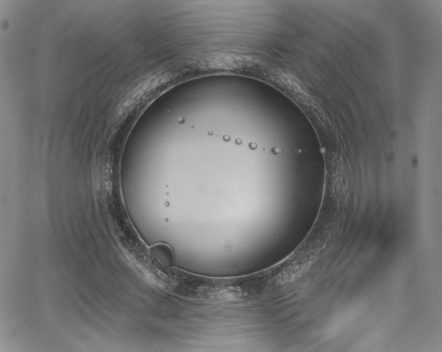 X0000068270683200604211111