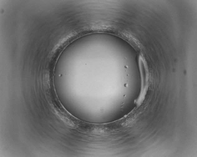 X0000068270684200604211111