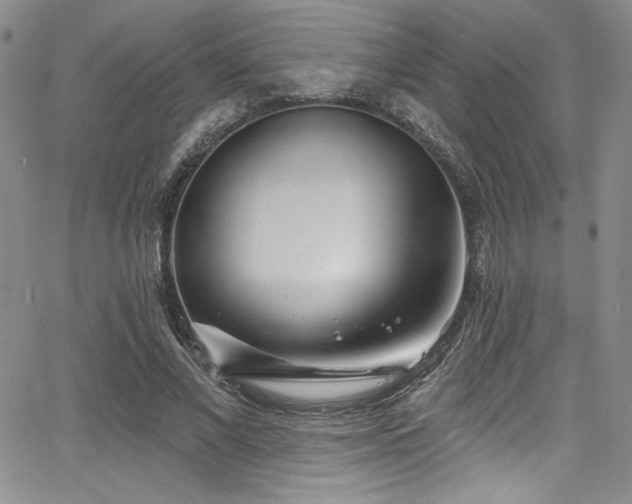 X0000068270685200604211111