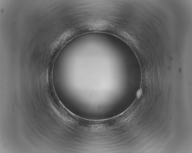 X0000068270686200604211111