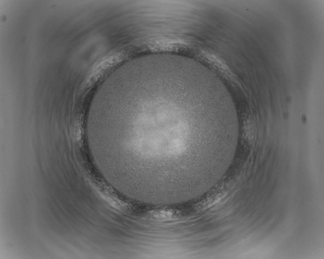 X0000068270687200604211111