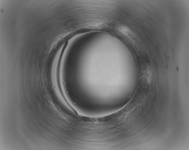 X0000068270688200604211110