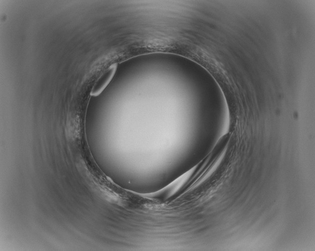 X0000068270689200604211110