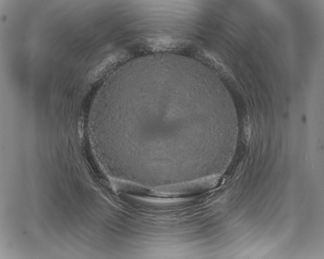 X0000068270691200604211110