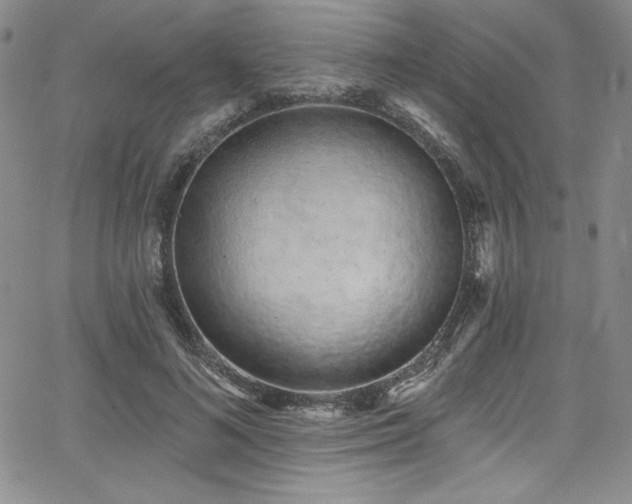 X0000068270692200604211110