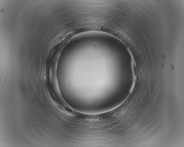 X0000068270693200604211110