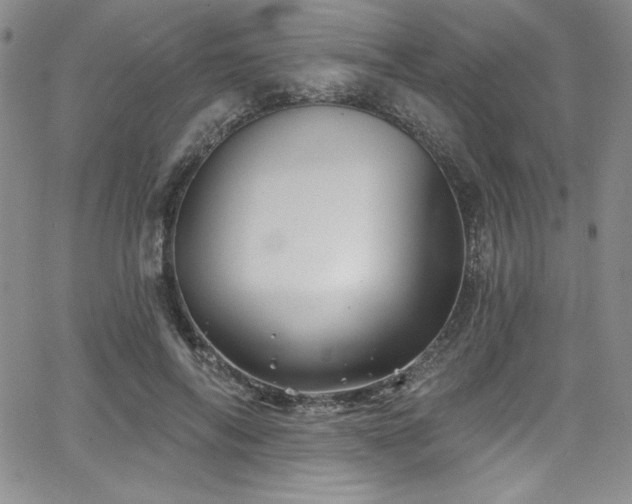 X0000068270694200604211110