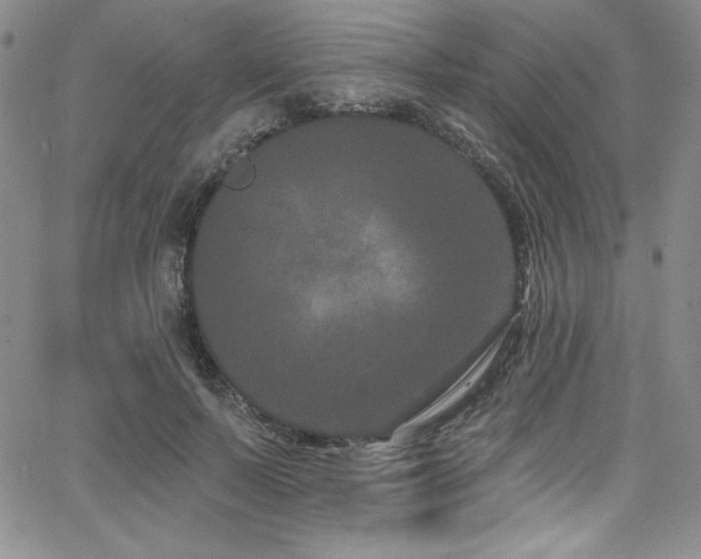 X0000068270695200604211110