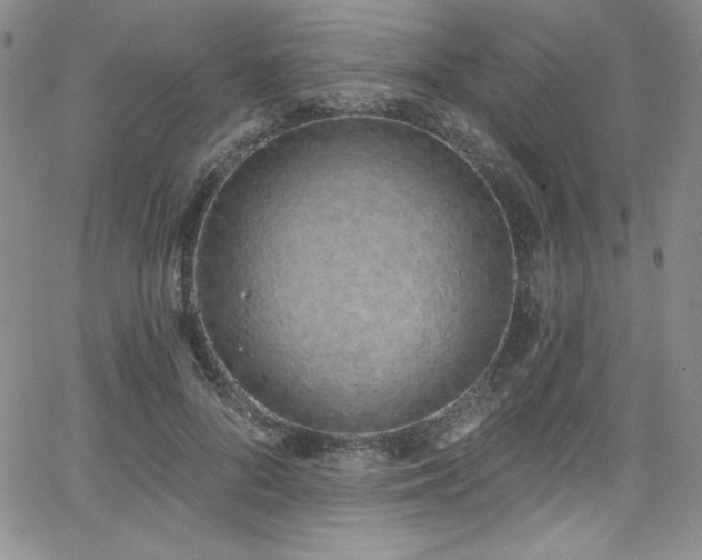 X0000068270696200604211110