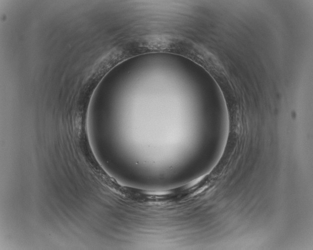 X0000068270697200604211110