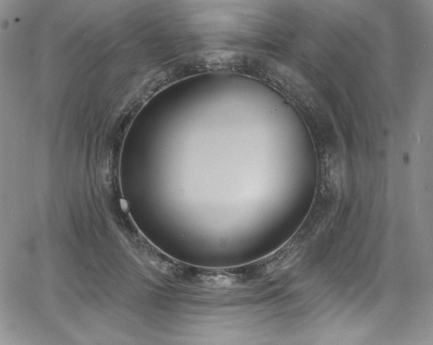 X0000068270698200604211110