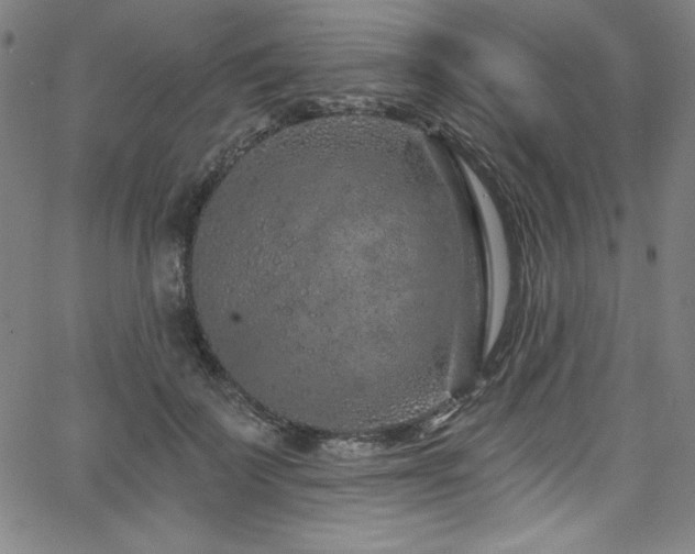 X0000068270699200604211110