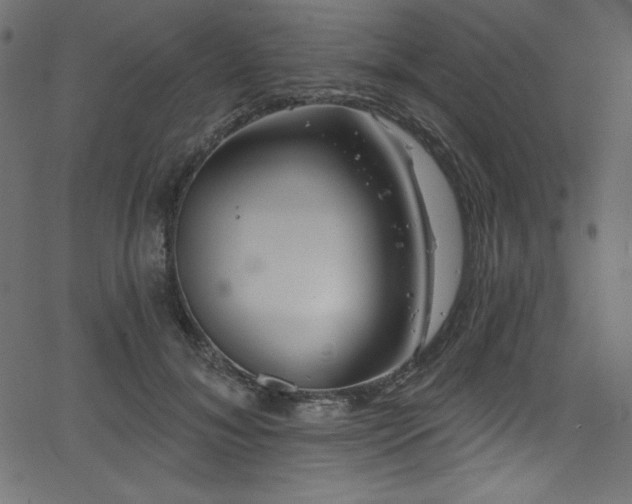 X0000068270700200604211110