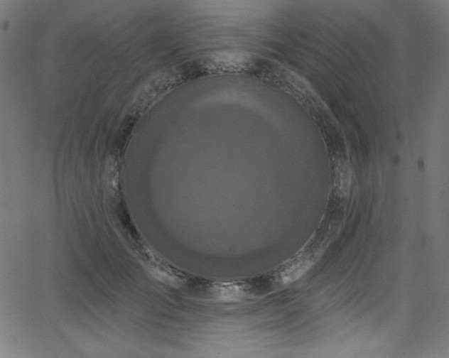 X0000068270701200604211110