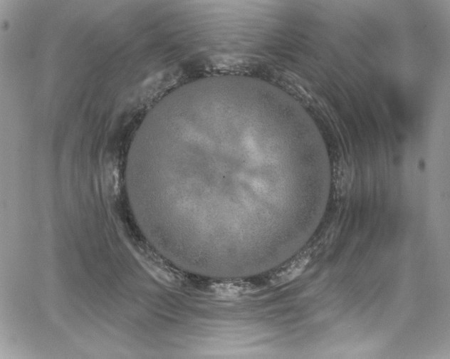 X0000068270703200604211110