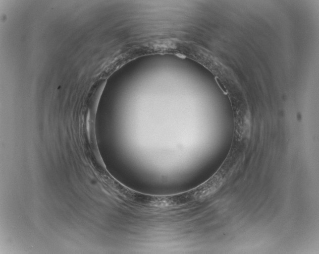 X0000068270704200604211110