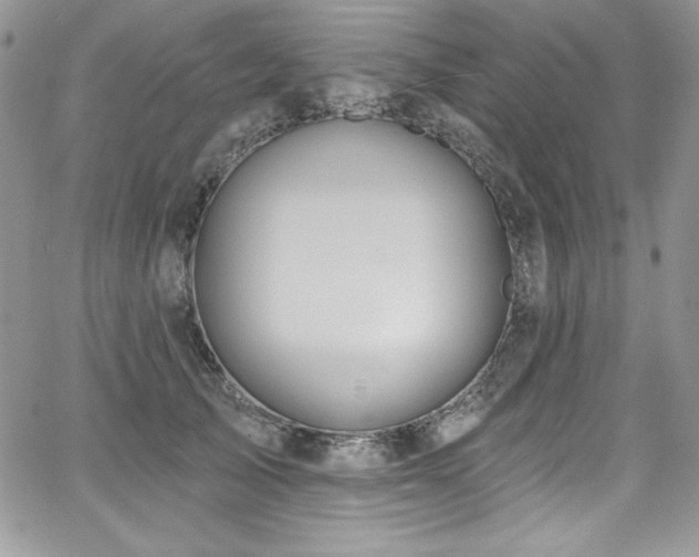 X0000068270705200604211110