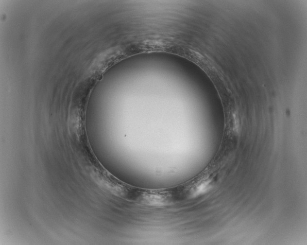 X0000068270706200604211110