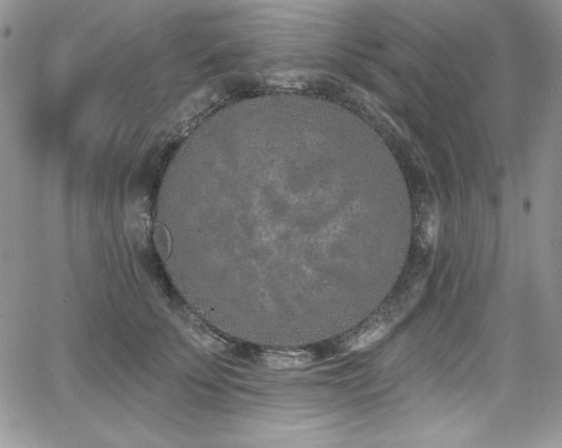 X0000068270707200604211110