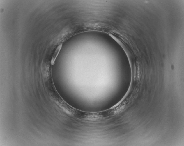 X0000068270708200604211110