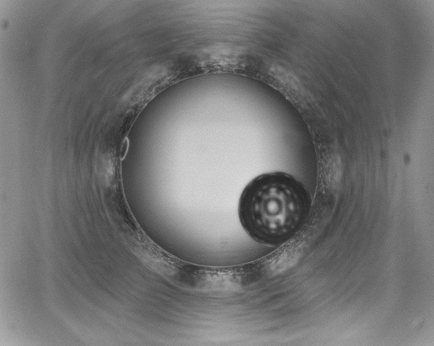 X0000068270709200604211110