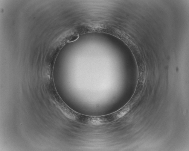 X0000068270710200604211110