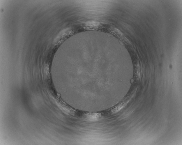 X0000068270711200604211110