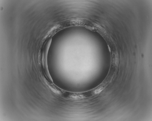 X0000068270712200604211110