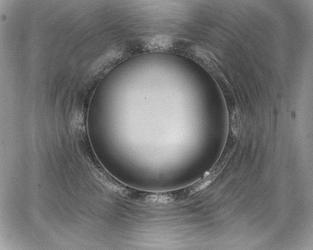 X0000068270714200604211110