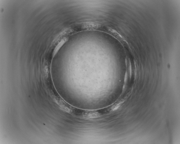 X0000068270716200604211110