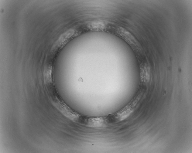 X0000068270717200604211110