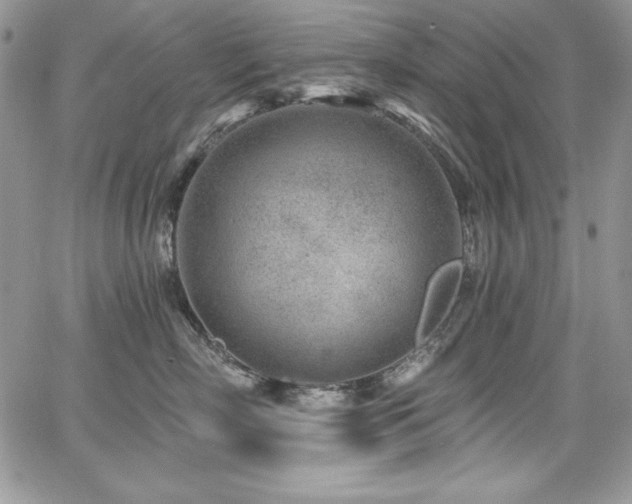 X0000068270718200604211110