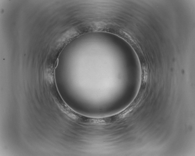 X0000068270719200604211110