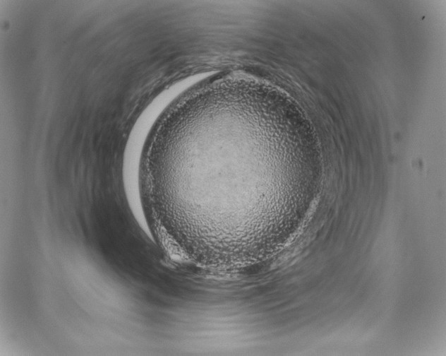 X0000068270720200604211110