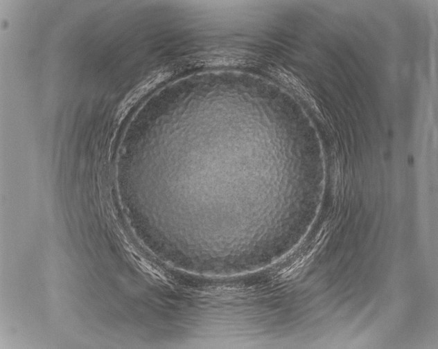 X0000068270721200604211109