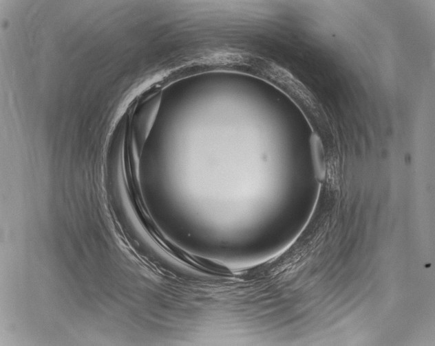 X0000068270724200604211109