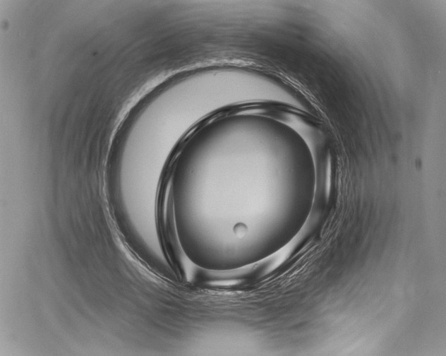 X0000068270726200604211109