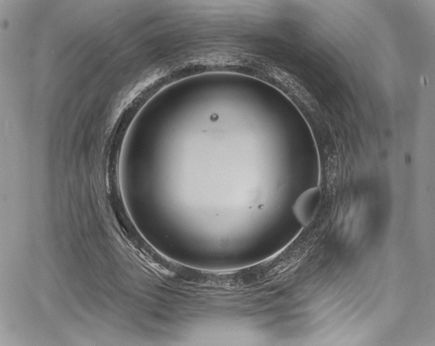 X0000068270727200604211109